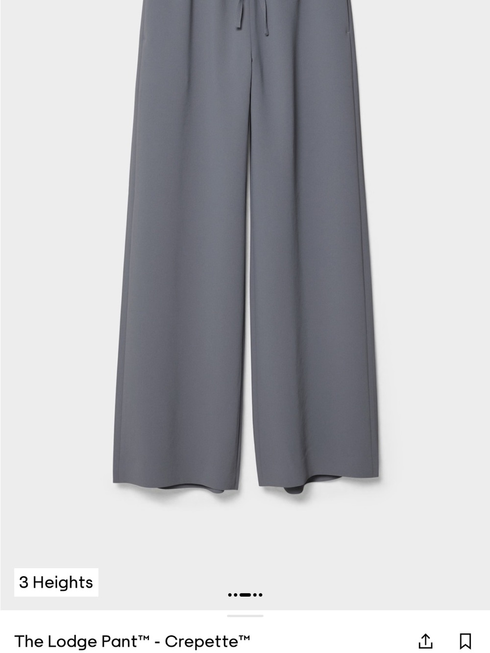 Aritzia Wide-Leg Pants in Gray Short